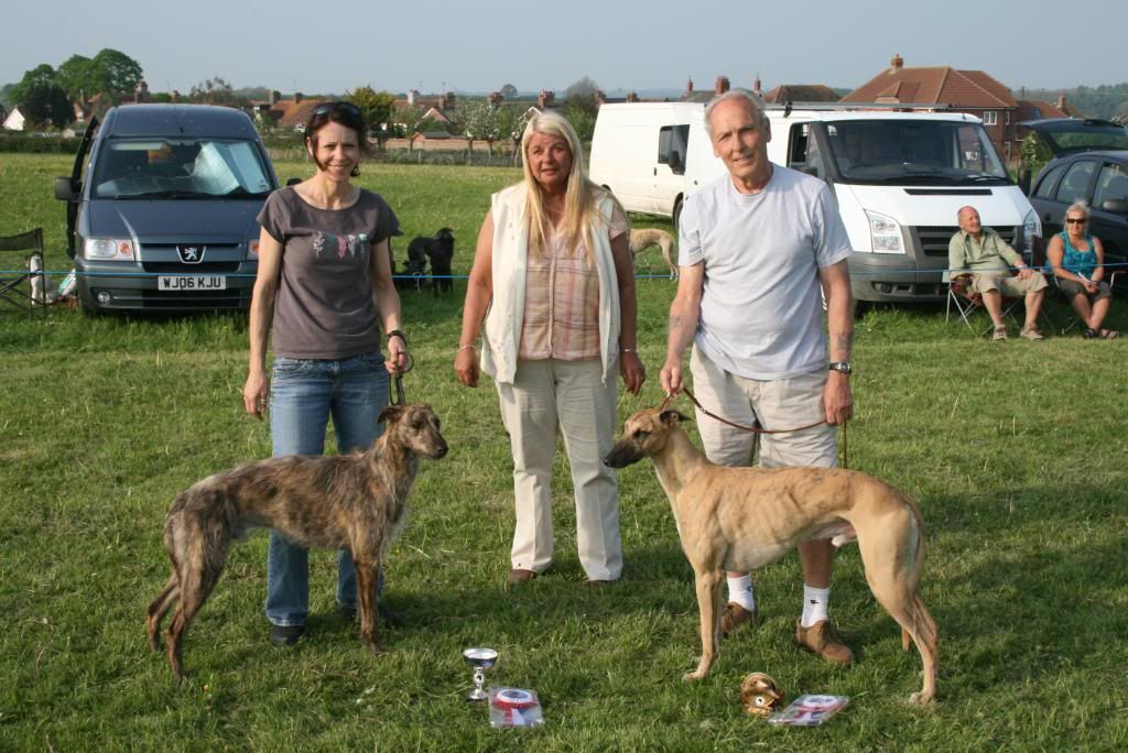 Crewkerne Lurcher & Terrier Show Gamefairs, Meet Up's and Events